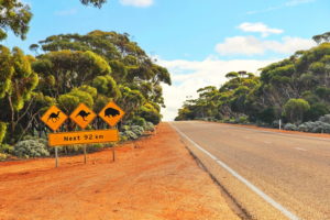 australia road trip