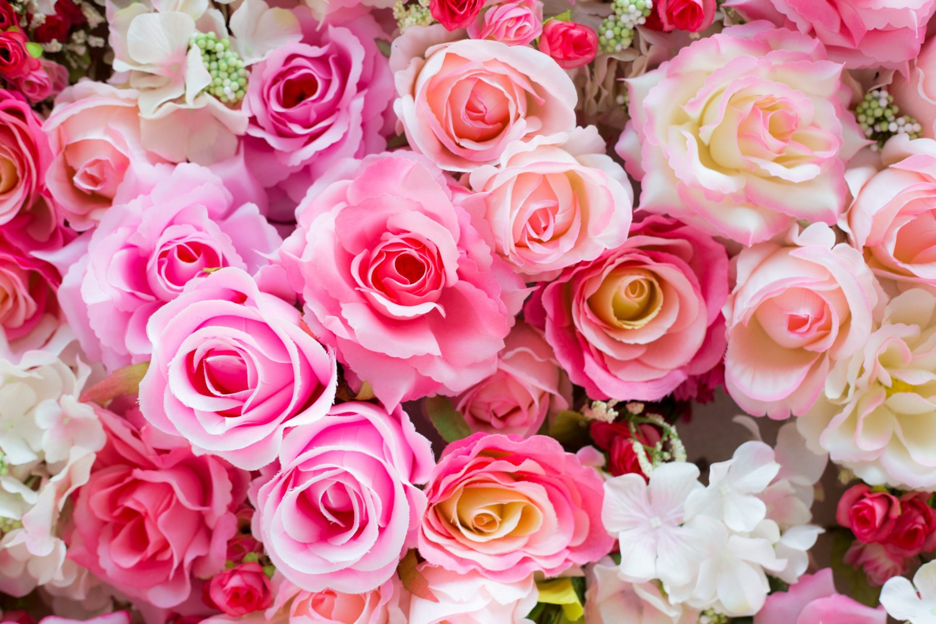 Hoa hồng màu sắc là bức tranh thơ mộng của thiên nhiên, đưa bạn đến với thế giới màu sắc rực rỡ và tươi mới. Cùng với sự pha trộn của các màu sắc khác nhau, hoa hồng khiến bạn say đắm và thư giãn. Chúng tôi sẽ giới thiệu cho bạn những hình ảnh đẹp nhất về hoa hồng màu sắc.