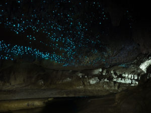 The Glowworm Caves, New Zealand